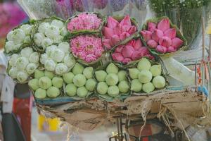 Old Quarter Autumn Hostel