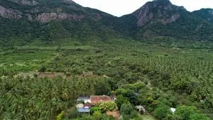 Pannadikadu Homestay - Kollengode