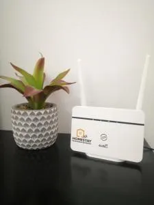 Jwa Vacastay - Lumut