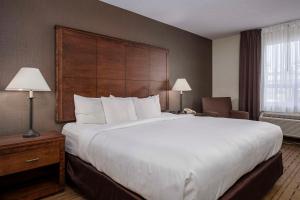 Comfort Inn - Gander