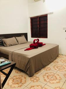 Little Fairy Home B&B