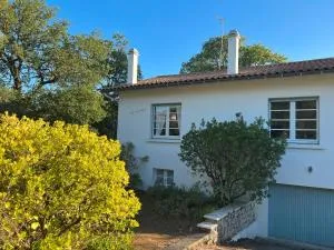 Vinsous 6 - 圣特罗让莱班