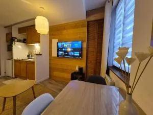 Cosy appartement Embrun centre - 埃姆布能