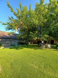 Kolonia u Jasia Rajgród