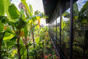 Pomelo Travel Outpost Cambodia ដំណាក់ភ្នំក្រោម