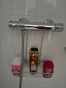 Appartements Chez Pascal et Louna au calme ! Near Paris, transport RER B, Roissy CDG Airport, Disneyland : photos des chambres