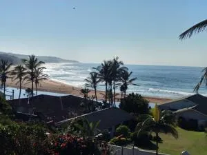 THE ANT's COVE - Dokodweni