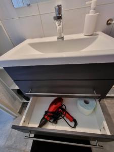 Superbe appartement entièrement rénové 4EST211