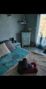 Sejours chez l'habitant Agreable chambre d- hote avec acces piscine : photos des chambres