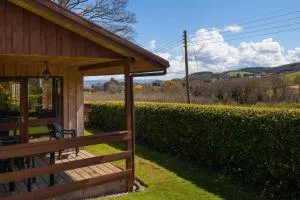 Holly Lodge 4 Bedrooms Minehead - Wootton Courtenay