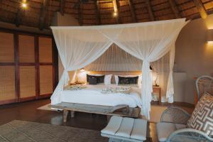 Nambiti Plains Lodge