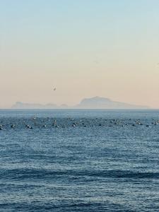 Casa D10S Napoli centro quartieri spagnoli
