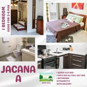 Jacana A 1BR Pico de Loro by PTours - Cutad