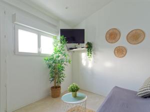 Studio avec jardinet