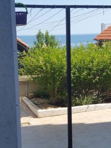 студия ЛИЛИЯ