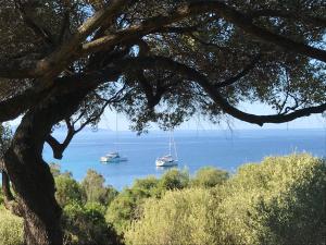 Résidence Capizzolu