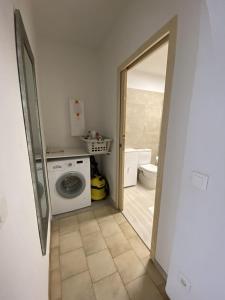 Appartements Residence Capizzolu : Appartement 1 Chambre