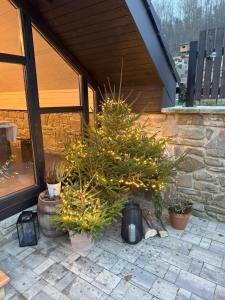 Apartmán - Chata pod Cigerníkom