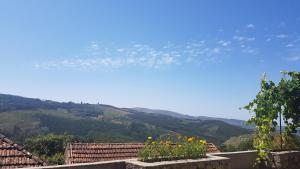 Casa da Mena - Casa de Campo no Caramulo
