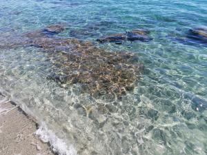 Appartements La Caletta Corsa Apartments con due camere a 100 m dal mare - WiFi fibra FTTH - ALL INCLUSIVE : photos des chambres