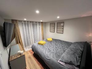 Bryn Haul Sunny Hill