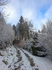 Ferienwohnung Haus Schöneck