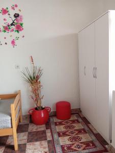 Apartment Natti