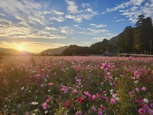 山斎ｰ勝山市の最北端に佇む一棟貸しの宿-
