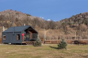 Стожари, Stozhary