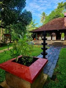 Ira Marari-An escape to tranquility - Alleppey