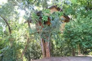 Tree House-Midigama - Massalapitiya