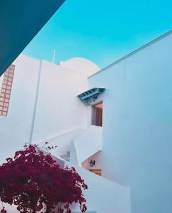 Lefkothea Hotel