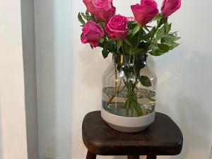 Hog Plum Apartment, Ground Floor, Centre Child Okeford