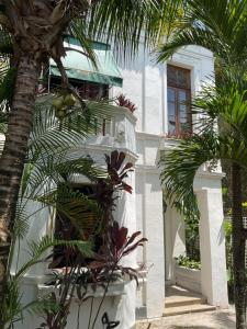 2026 CARNAVAL 23FEB-04MAR AVAILABLE Harbourside Villa-POOL-6Bedrm