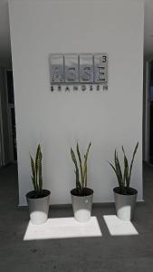 Departamento Brandsen con cochera