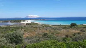 Vue spectaculaire sur la baie de Budoni - Tamarispa