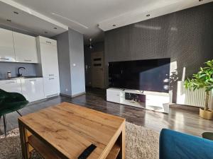 Przytulny apartament do wynajęcia