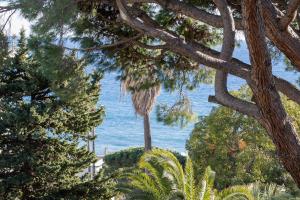 Studio moderne proche des plages à Cannes