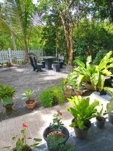 Cinnamon garden villa