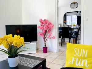 Appartements Spacieux appartement terrasse au coeur de la ville : photos des chambres