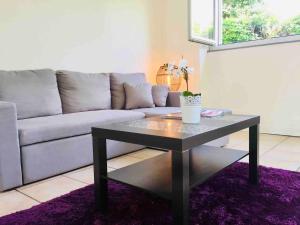 Appartements Spacieux appartement terrasse au coeur de la ville : photos des chambres
