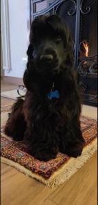 Villa Margherita Art and Music