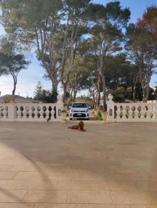 Villa Margherita Art and Music