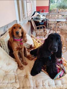 Villa Margherita Art and Music