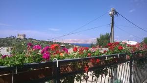 Apartments and rooms Bionda