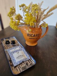 Maisons de vacances Centre St Remy - le Mas Boheme : photos des chambres