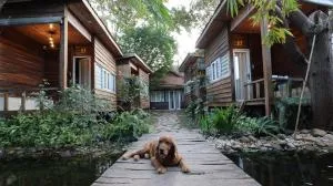 The 47 House Homestay BMT - Ban Blech