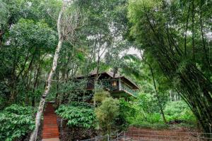 Coffee Land Retreat