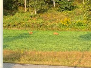 Lake Villa in Kungsäter