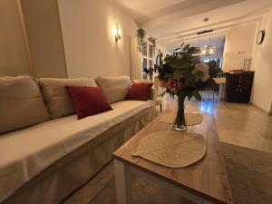 Olivia Sunny 2 bedroom Apartament Punta Prima